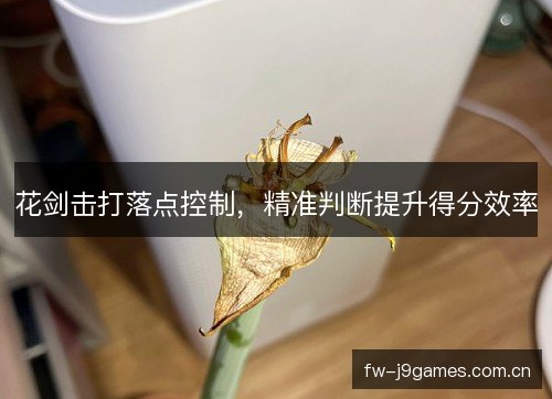 花剑击打落点控制，精准判断提升得分效率